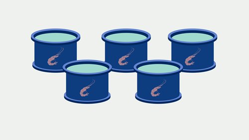 渔业是什么