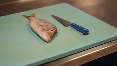 食品风险类型